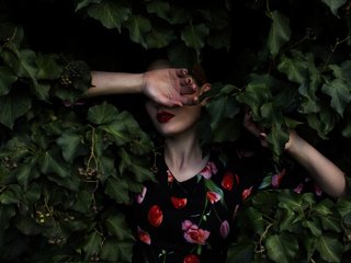 Обои листья, девушка, платье, листва, лицо, руки, mara saiz, leaves, girl, dress, foliage, face, hands разрешение 2048x1365 Загрузить