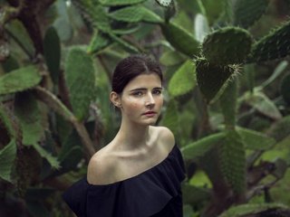 Обои девушка, взгляд, волосы, лицо, кактус, mara saiz, girl, look, hair, face, cactus разрешение 2048x1365 Загрузить