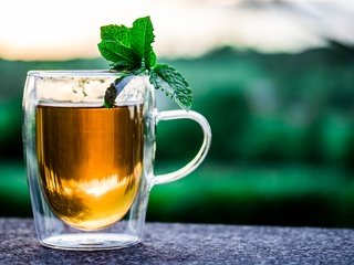 Обои мята, напиток, кружка, чай, травяной чай, mint, drink, mug, tea, herbal tea разрешение 5778x3852 Загрузить