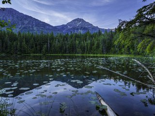 Обои озеро, горы, природа, лес, пейзаж, парк, сша, johns lake glacier, lake, mountains, nature, forest, landscape, park, usa, johns lake, glacier разрешение 5000x3315 Загрузить