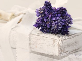 Обои цветы, лаванда, книги, лента, flowers, lavender, books, tape разрешение 5184x3135 Загрузить