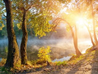 Обои деревья, озеро, солнце, туман, рассвет, осень, олнце, trees, lake, the sun, fog, dawn, autumn разрешение 5000x2960 Загрузить