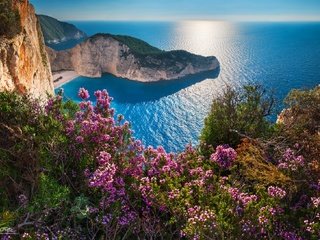 Обои цветы, скалы, море, побережье, греция, бухта навайо, navagio beach, остров закинф, навайо, shipwreck, flowers, rocks, sea, coast, greece, bay of navagio, island of zakynthos разрешение 1920x1089 Загрузить