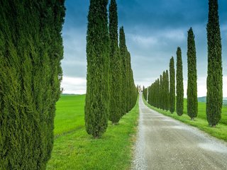 Обои небо, дорога, трава, деревья, италия, тоскана, кипарис, the sky, road, grass, trees, italy, tuscany, cypress разрешение 2048x1363 Загрузить