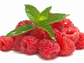 Обои листья, малина, ягода, белый фон, leaves, raspberry, berry, white background разрешение 5584x3536 Загрузить