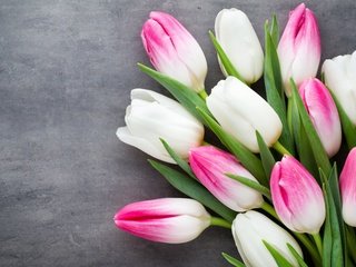 Обои цветы, бутоны, букет, тюльпаны, flowers, buds, bouquet, tulips разрешение 2880x1800 Загрузить