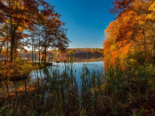 Обои трава, ice lakes, деревья, озеро, природа, осень, сша, колорадо, осень. озеро, grass, trees, lake, nature, autumn, usa, colorado, autumn. lake разрешение 3600x2200 Загрузить