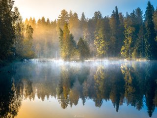 Обои деревья, финляндия, озеро, лес, отражение, утро, туман, рассвет, осень, trees, finland, lake, forest, reflection, morning, fog, dawn, autumn разрешение 2048x1492 Загрузить