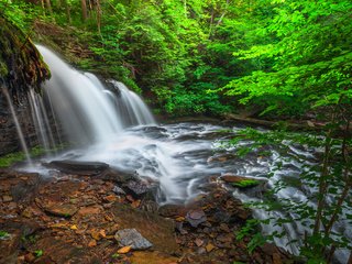 Обои деревья, река, лес, ветки, водопад, trees, river, forest, branches, waterfall разрешение 1920x1200 Загрузить