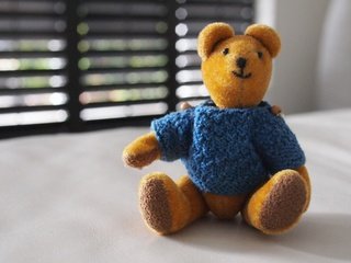 Обои медведь, игрушка, кофта, медвежонок, bear, toy, jacket разрешение 3200x2067 Загрузить