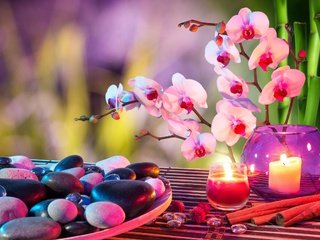 Обои цветы, свечи, камни, корица, бамбук, спа, орхидеи, flowers, candles, stones, cinnamon, bamboo, spa, orchids разрешение 2560x1600 Загрузить