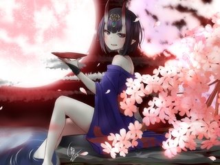 Обои лепестки, короткая стрижка, fate grand order, sakura blossom, shuten douji, petals, short hair разрешение 3371x2344 Загрузить