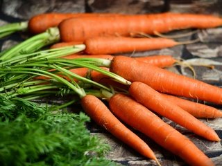 Обои урожай, овощи, морковь, harvest, vegetables, carrots разрешение 5561x2821 Загрузить