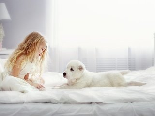 Обои взгляд, собака, девочка, щенок, комната, животное, кровать, пес, look, dog, girl, puppy, room, animal, bed разрешение 2048x1378 Загрузить