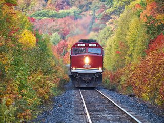 Обои деревья, железная дорога, лес, осень, поезд, trees, railroad, forest, autumn, train разрешение 1920x1200 Загрузить