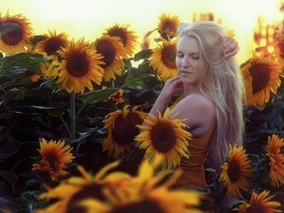 Обои цветы, девушка, блондинка, лето, подсолнухи, flowers, girl, blonde, summer, sunflowers разрешение 2048x1304 Загрузить