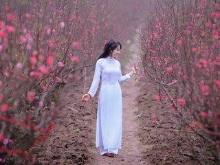 Обои цветение, девушка, сад, модель, весна, в белом, азиатка, flowering, girl, garden, model, spring, in white, asian разрешение 1920x1280 Загрузить