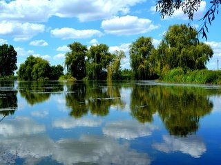 Обои небо, облака, деревья, озеро, отражение, пейзаж, лето, ивы, the sky, clouds, trees, lake, reflection, landscape, summer, willow разрешение 6000x4000 Загрузить