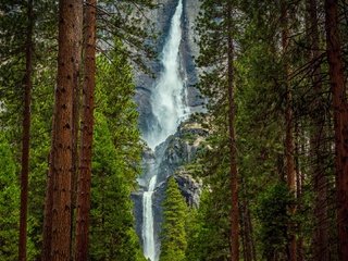 Обои деревья, лес, фон, пейзаж, скала, водопад, поток, сосны, trees, forest, background, landscape, rock, waterfall, stream, pine разрешение 1920x1080 Загрузить