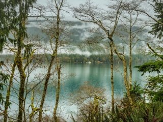 Обои деревья, озеро, лес, туман, сша, olympic national park, lake crescent, национальный парк олимпик, trees, lake, forest, fog, usa разрешение 2200x1425 Загрузить