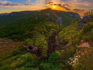 Обои горы, природа, закат, россия, коряга, простор, крым, крымские горы, mountains, nature, sunset, russia, snag, space, crimea, the crimean mountains разрешение 1920x1280 Загрузить