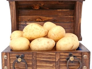 Обои белый фон, овощи, картофель, сундук, white background, vegetables, potatoes, chest разрешение 2376x2136 Загрузить