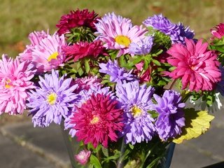 Обои цветы, осень, стол, букет, ваза, астры, flowers, autumn, table, bouquet, vase, asters разрешение 4000x3000 Загрузить