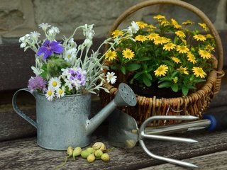 Обои цветы, букет, корзина, полевые цветы, натюрморт, лейка, flowers, bouquet, basket, wildflowers, still life, lake разрешение 4654x3059 Загрузить