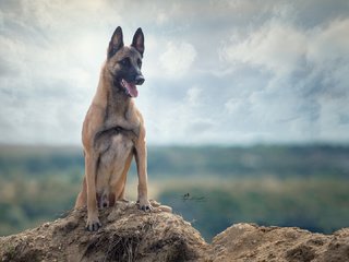 Обои tanja brandt разрешение 1920x1080 Загрузить