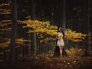 Обои деревья, лес, листья, девушка, настроение, осень, trees, forest, leaves, girl, mood, autumn разрешение 2048x1463 Загрузить