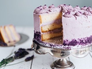 Обои лаванда, сладкое, торт, десерт, крем, lavender, sweet, cake, dessert, cream разрешение 2048x1345 Загрузить