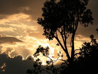 Обои небо, облака, дерево, ветки, силуэт, солнечный свет, the sky, clouds, tree, branches, silhouette, sunlight разрешение 3764x2442 Загрузить