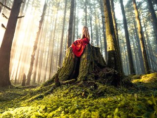 Обои свет, мох, деревья, пень, солнце, lizzy gadd, лес, девушка, лучи, платье, стволы, light, moss, trees, stump, the sun, forest, girl, rays, dress, trunks разрешение 2048x1368 Загрузить