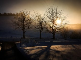 Обои свет, деревья, зима, утро, light, trees, winter, morning разрешение 2048x1365 Загрузить