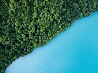 Обои деревья, вода, озеро, зелень, лес, вид сверху, trees, water, lake, greens, forest, the view from the top разрешение 2560x1440 Загрузить