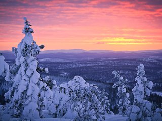 Обои небо, деревья, снег, лес, закат, зима, финляндия, лапландия, the sky, trees, snow, forest, sunset, winter, finland, lapland разрешение 2800x1867 Загрузить