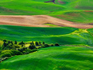 Обои трава, деревья, холмы, пейзаж, поля, grass, trees, hills, landscape, field разрешение 2880x1920 Загрузить