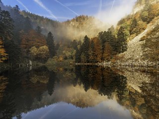 Обои деревья, озеро, горы, природа, лес, отражение, etienne ruff, trees, lake, mountains, nature, forest, reflection разрешение 1920x1200 Загрузить