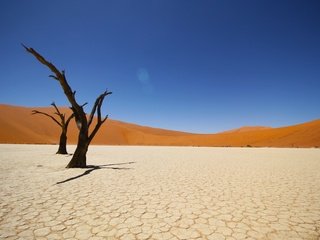 Обои небо, песок, пустыня, дюны, намибия, the sky, sand, desert, dunes, namibia разрешение 3844x2563 Загрузить