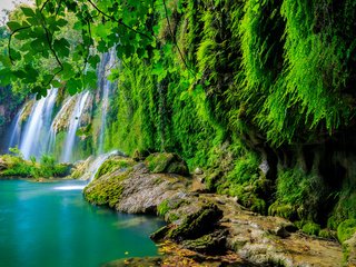 Обои камни, тропики, зелень, лес, листья, скала, ветки, водопад, мох, stones, tropics, greens, forest, leaves, rock, branches, waterfall, moss разрешение 4000x2666 Загрузить