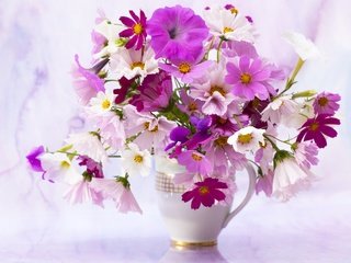 Обои цветы, лепестки, букет, ваза, космея, петунья, flowers, petals, bouquet, vase, kosmeya, petunia разрешение 4702x3592 Загрузить