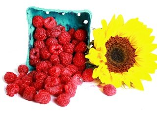 Обои цветок, малина, подсолнух, ягоды, белый фон, flower, raspberry, sunflower, berries, white background разрешение 4241x2828 Загрузить