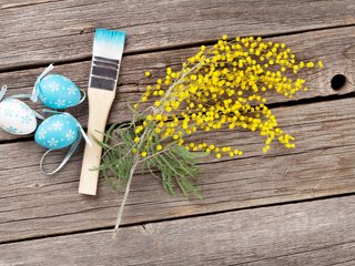 Обои цветы, весна, пасха, яйца, украшение, мимоза, flowers, spring, easter, eggs, decoration, mimosa разрешение 5616x3744 Загрузить