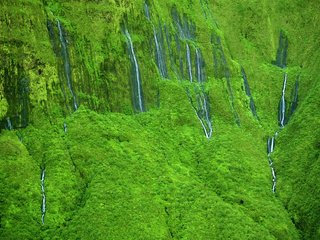 Обои природа, склон, водопады, гаваи, мауи, wall of tears' waterfalls, nature, slope, waterfalls, hawaii, maui разрешение 2560x1600 Загрузить