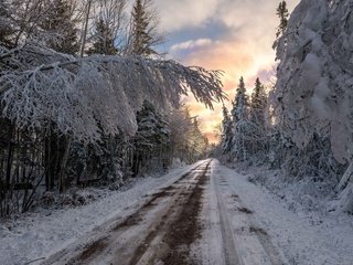 Обои дорога, облака, деревья, снег, природа, лес, зима, ветки, road, clouds, trees, snow, nature, forest, winter, branches разрешение 1920x1200 Загрузить