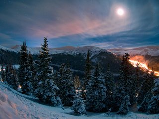 Обои дорога, ночь, природа, лес, зима, колорадо, mike berenson, road, night, nature, forest, winter, colorado разрешение 1920x1200 Загрузить