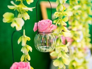 Обои цветы, розы, бутон, баночка, flowers, roses, bud, jar разрешение 1920x1200 Загрузить