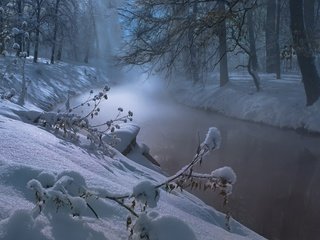 Обои деревья, река, снег, природа, лес, зима, trees, river, snow, nature, forest, winter разрешение 1920x1200 Загрузить