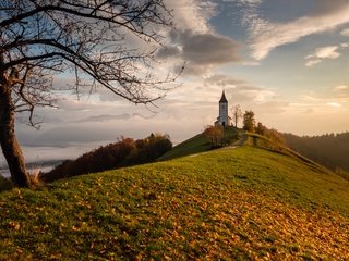 Обои дерево, листья, осень, церковь, холм, словения, tree, leaves, autumn, church, hill, slovenia разрешение 4000x2500 Загрузить