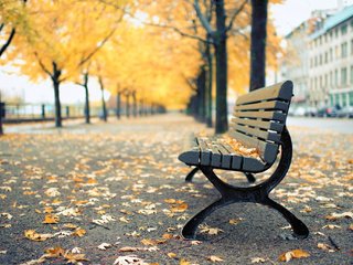 Обои парк, осень, скамья, канада, лавочка, монреаль, квебек, park, autumn, bench, canada, shop, montreal, qc разрешение 2048x1367 Загрузить